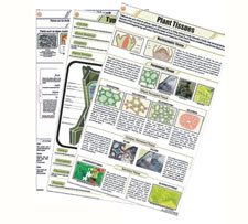 Botany Chart