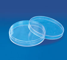 Petri Dish Culture