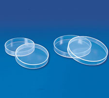 Petri Dish