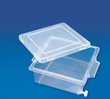 Staining Box